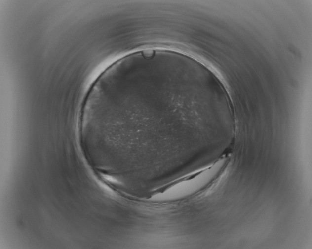 X0000114441533200911061653