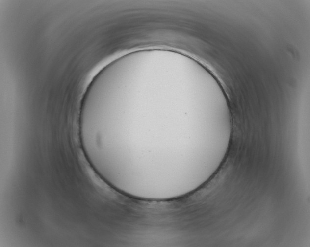 X0000114441534200911061653