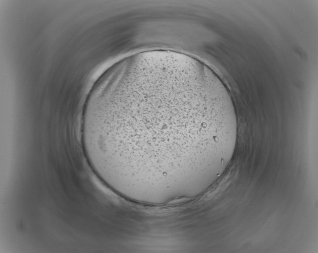 X0000114441535200911061653