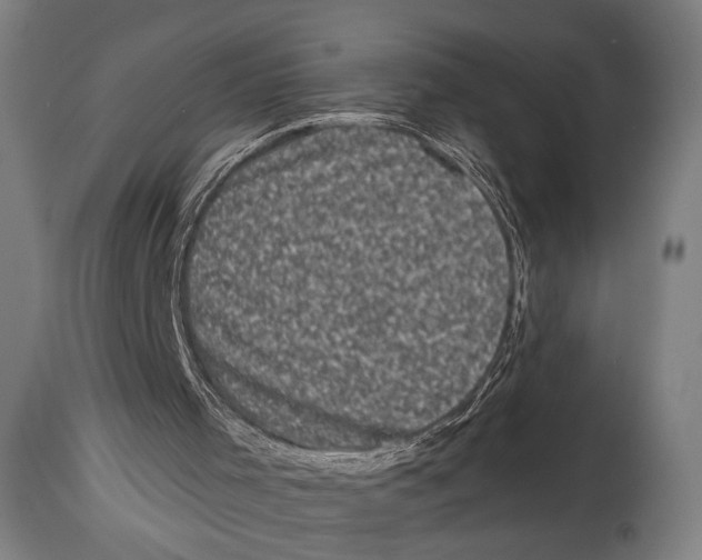 X0000114440001200911131526