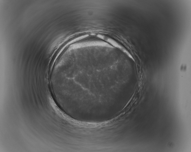 X0000114440002200911131526
