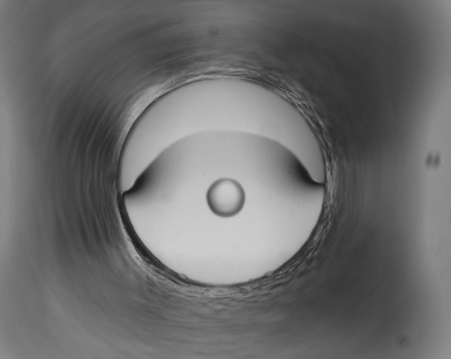 X0000114440003200911131526