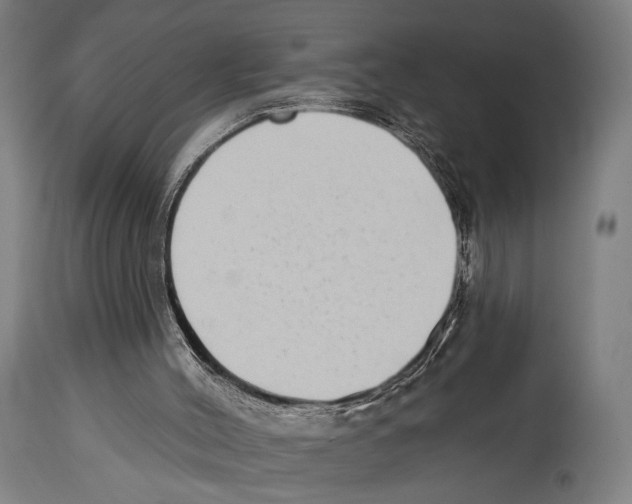 X0000114440004200911131526