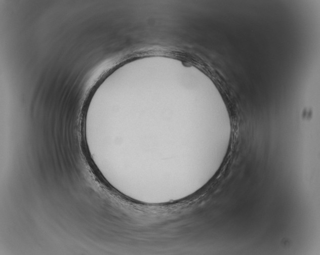 X0000114440006200911131526