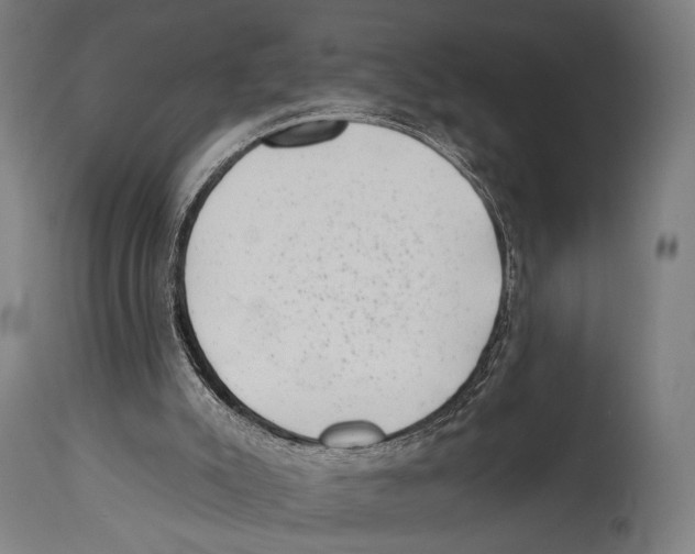 X0000114440007200911131526