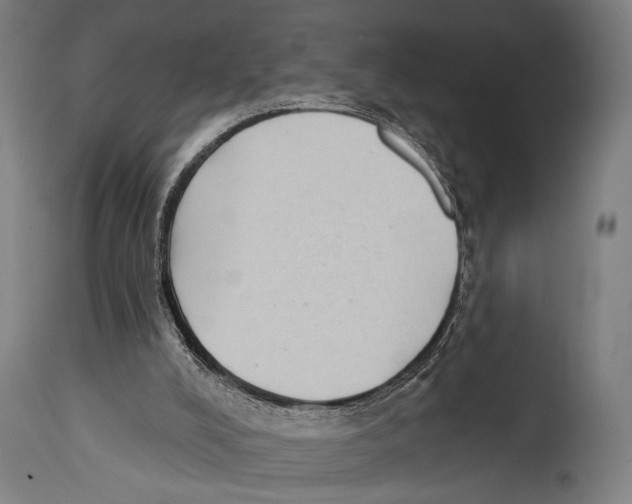 X0000114440008200911131526