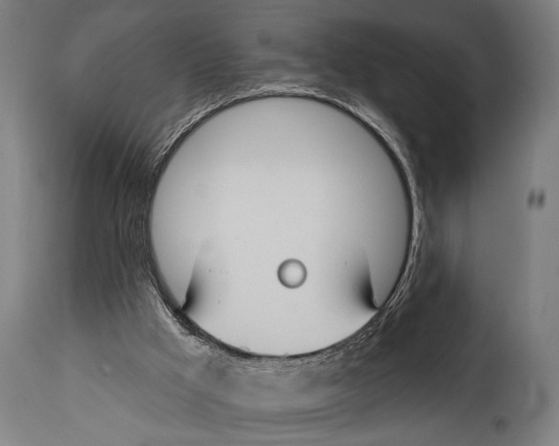 X0000114440009200911131526