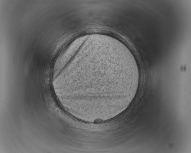X0000114440010200911131526