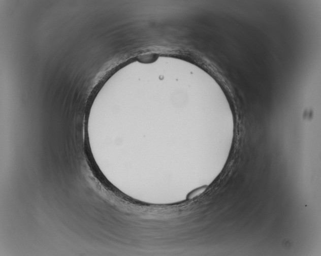 X0000114440011200911131526