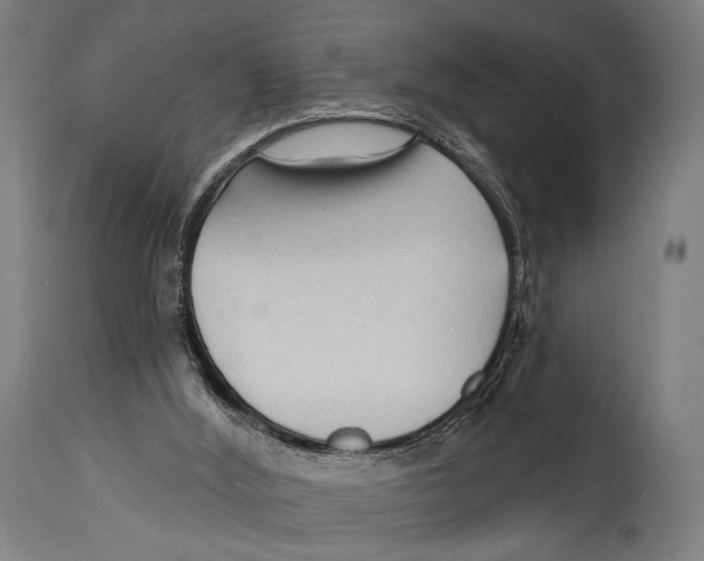 X0000114440012200911131526