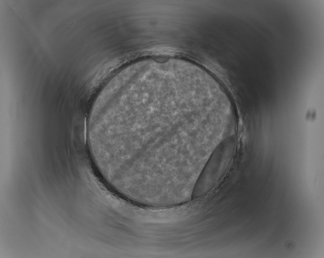 X0000114440013200911131526