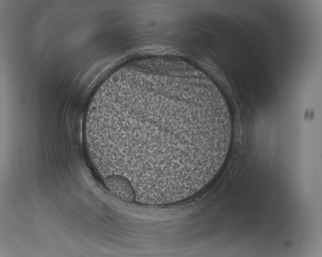 X0000114440014200911131526