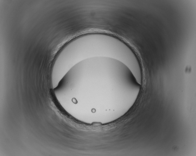 X0000114440015200911131526