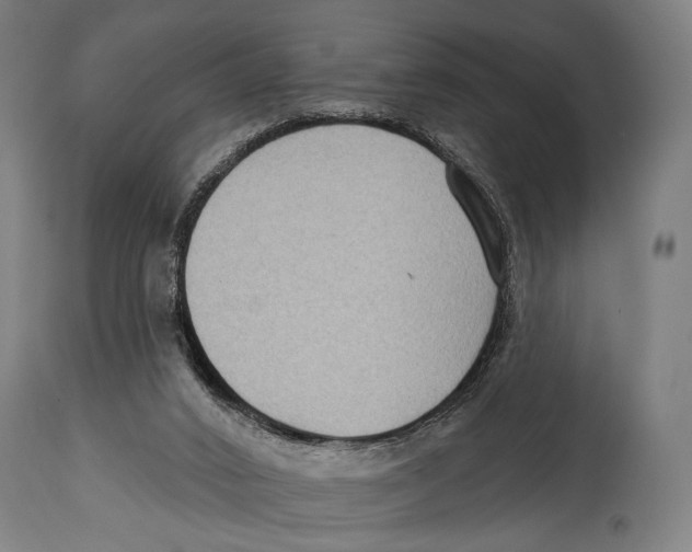 X0000114440016200911131526