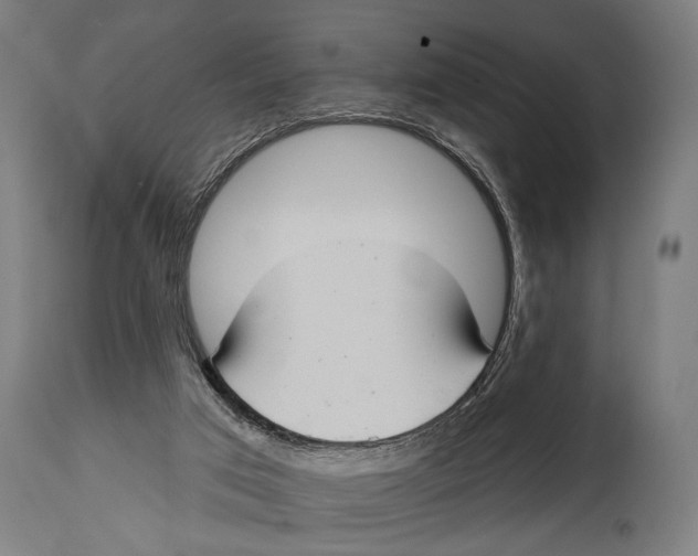 X0000114440017200911131526