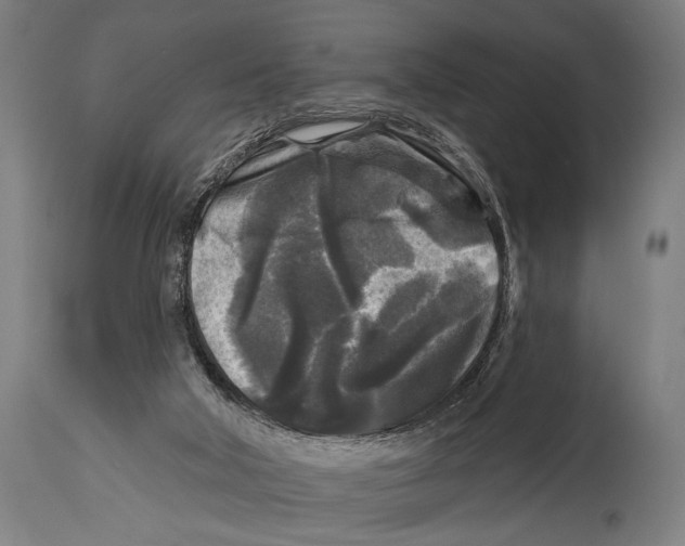 X0000114440018200911131526