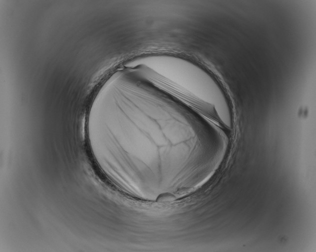 X0000114440019200911131526