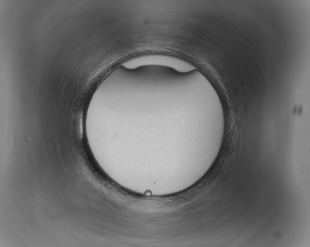 X0000114440020200911131526