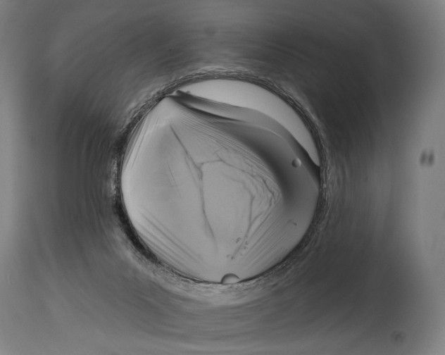 X0000114440023200911131526