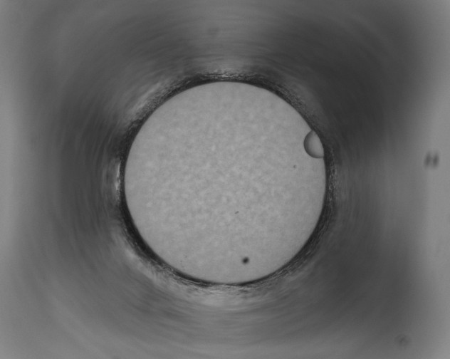 X0000114440024200911131526
