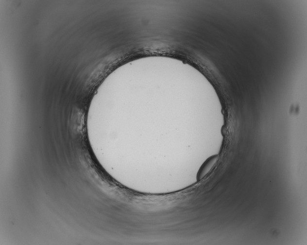X0000114440025200911131526