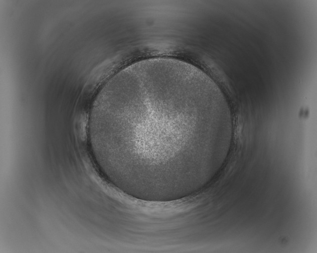 X0000114440026200911131526