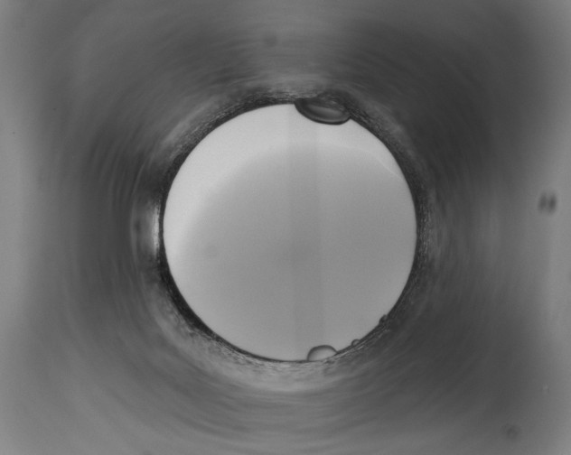 X0000114440027200911131526