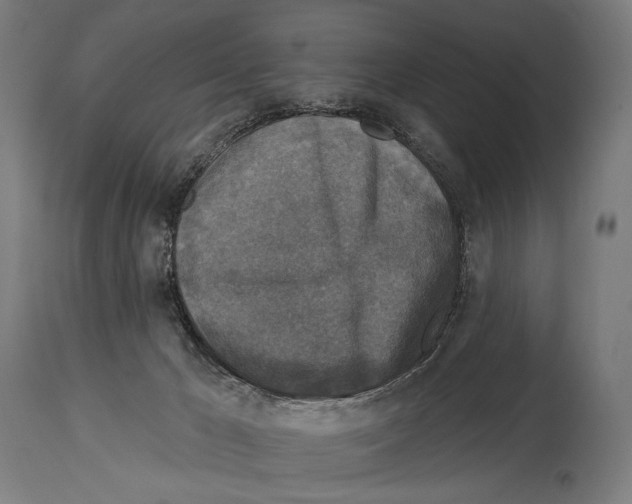 X0000114440029200911131525