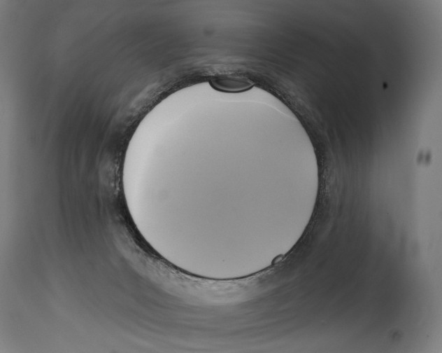X0000114440031200911131525