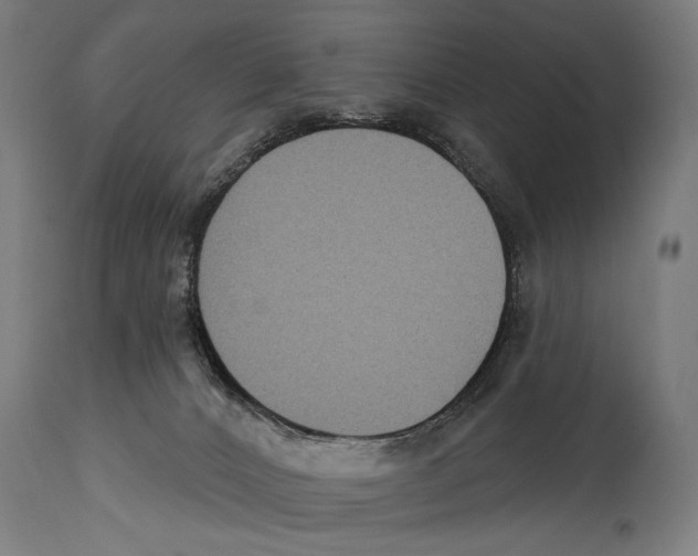 X0000114440032200911131525