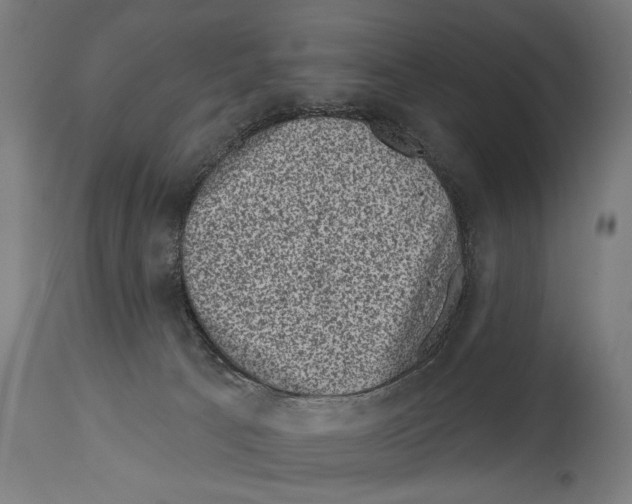 X0000114440033200911131525