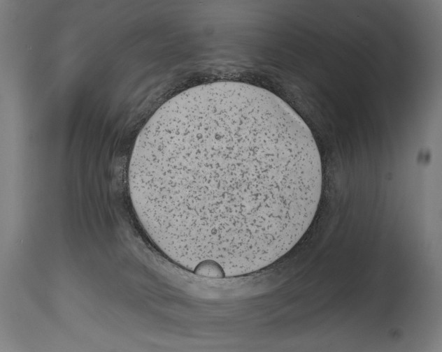 X0000114440034200911131525