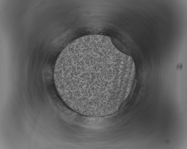 X0000114440037200911131525