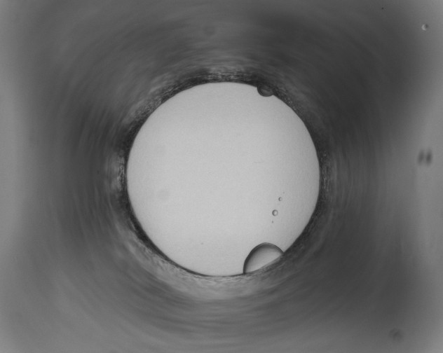 X0000114440038200911131525