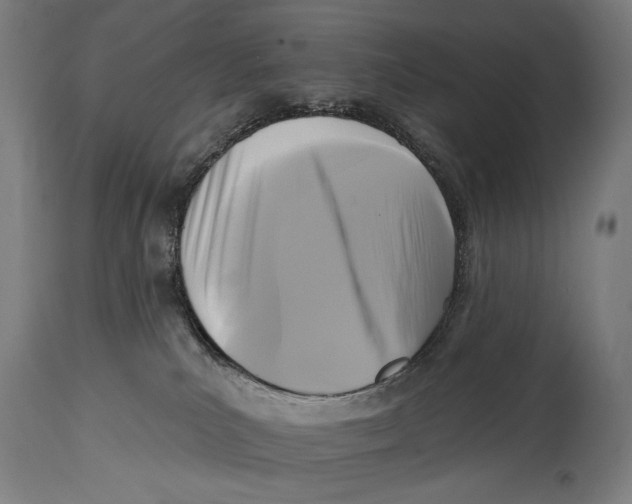 X0000114440039200911131525