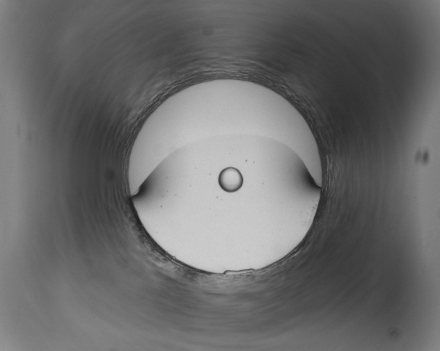 X0000114440041200911131525