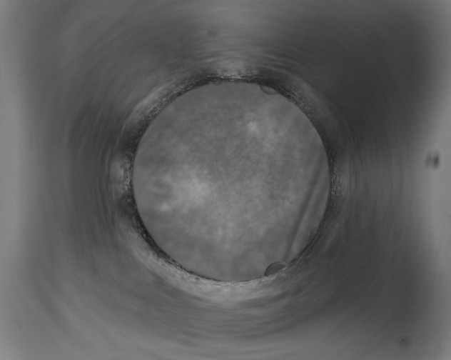 X0000114440043200911131525