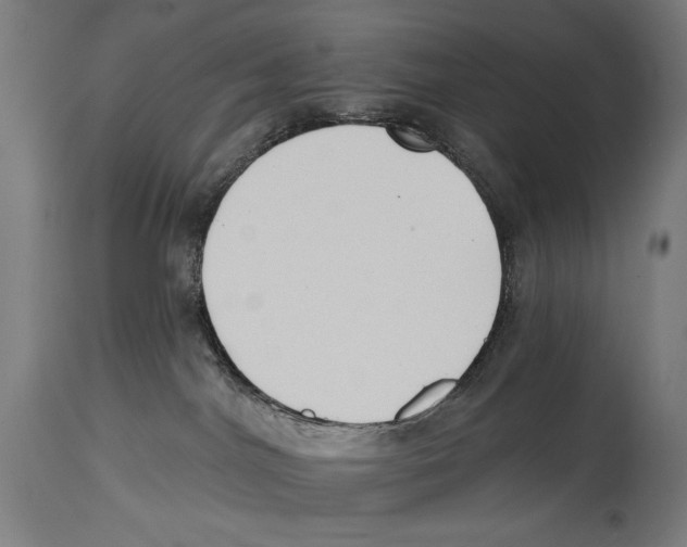 X0000114440044200911131525