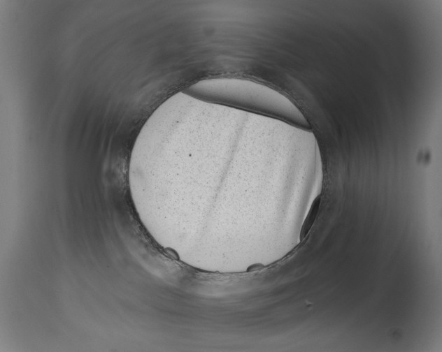 X0000114440045200911131525