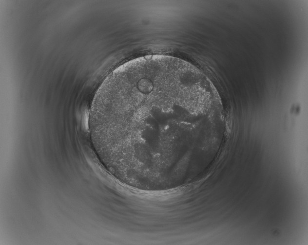 X0000114440046200911131525