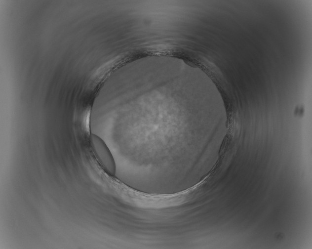 X0000114440047200911131525