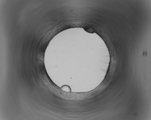 X0000114440048200911131525