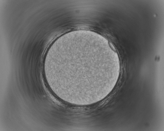 X0000114440049200911131525