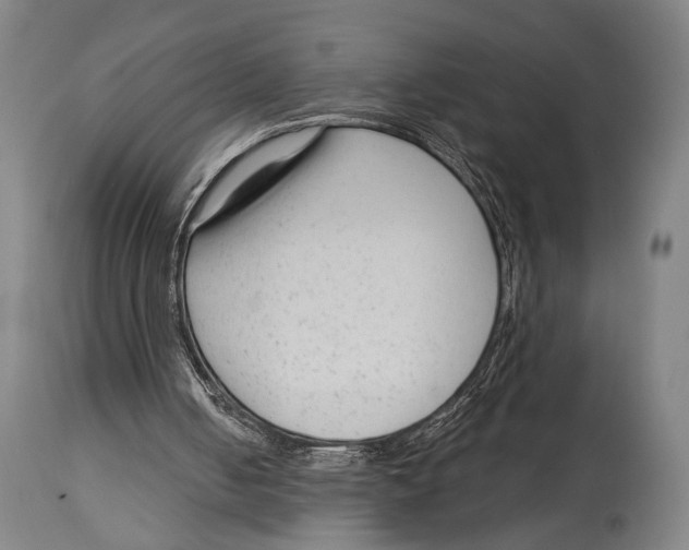 X0000114440050200911131525