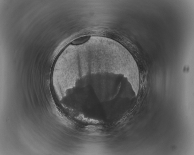 X0000114440051200911131525
