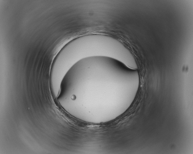 X0000114440052200911131525