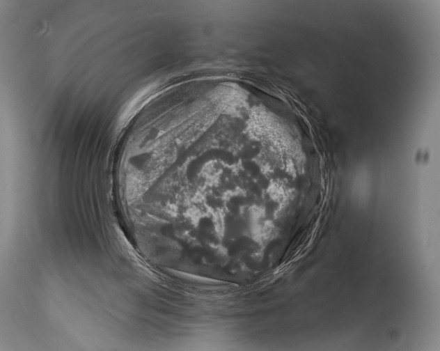 X0000114440053200911131525