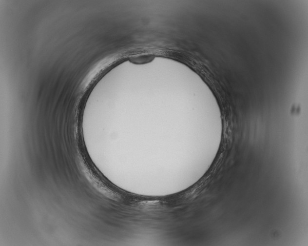 X0000114440054200911131525