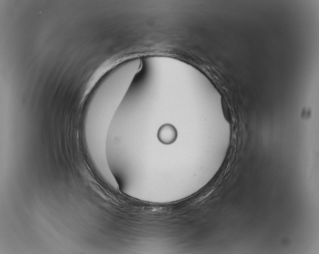 X0000114440056200911131525