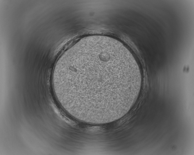 X0000114440058200911131525